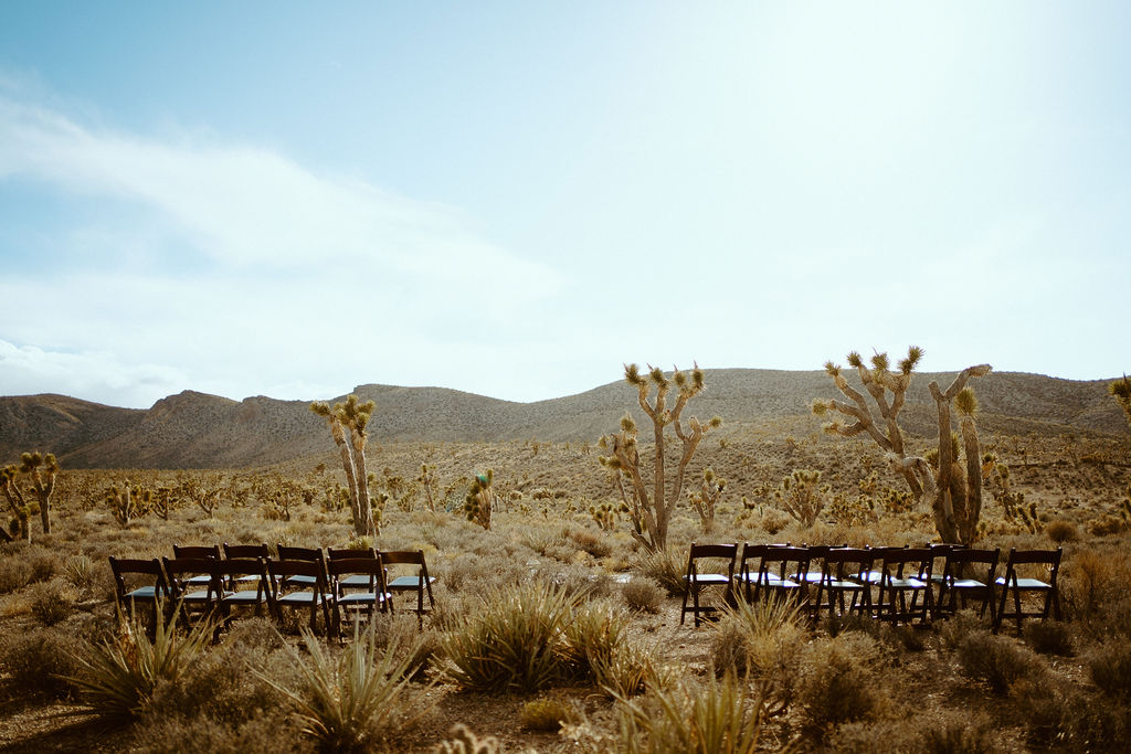 Kyle Canyon Elopement in Las Vegas with Chairs and Joshua Trees 