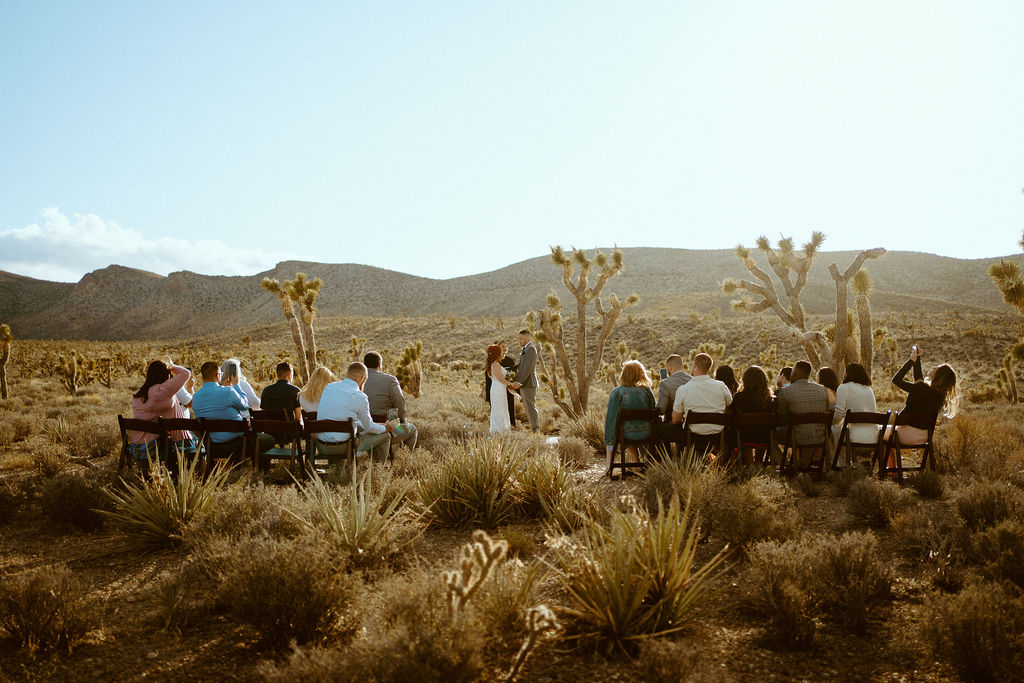 Desert Wedding with Guests at Kyle Canyon Las Vegas