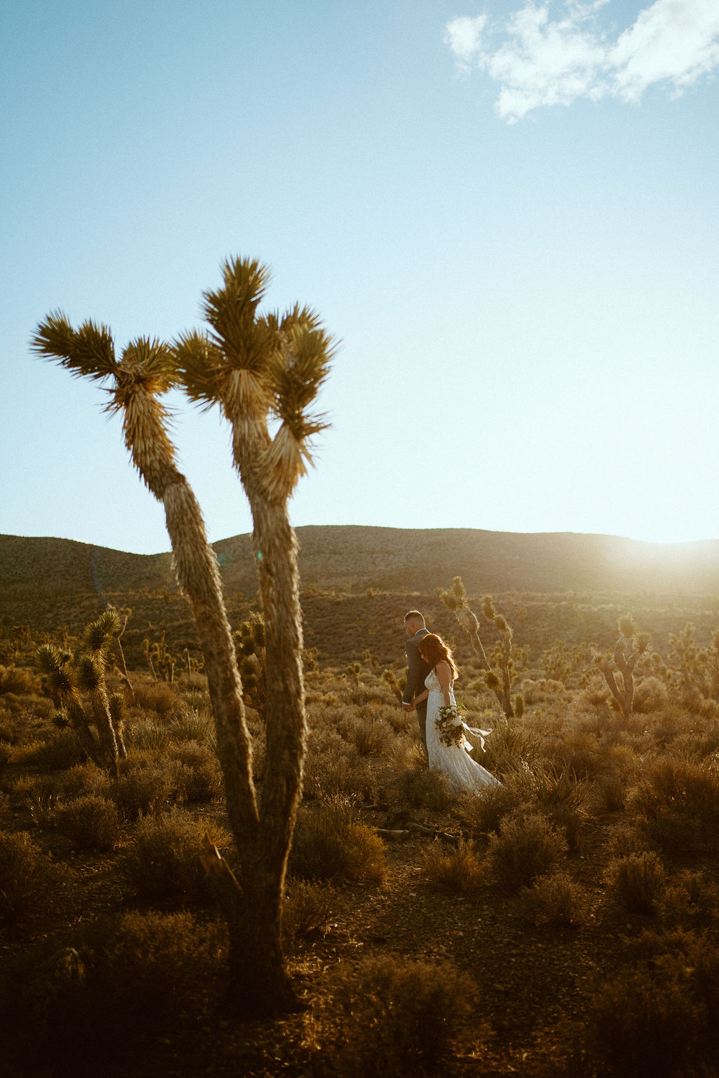 Newlyweds exploring desert with Joshua Trees and Sunset 
