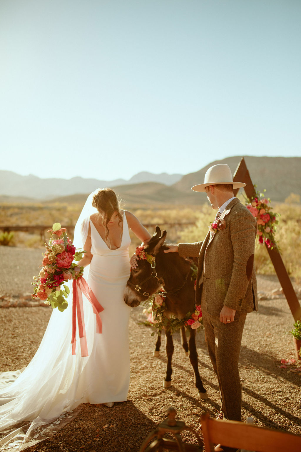 Newlyweds petting Burro that serves Beer for Bright & Bold Sunset Desert Wedding 
