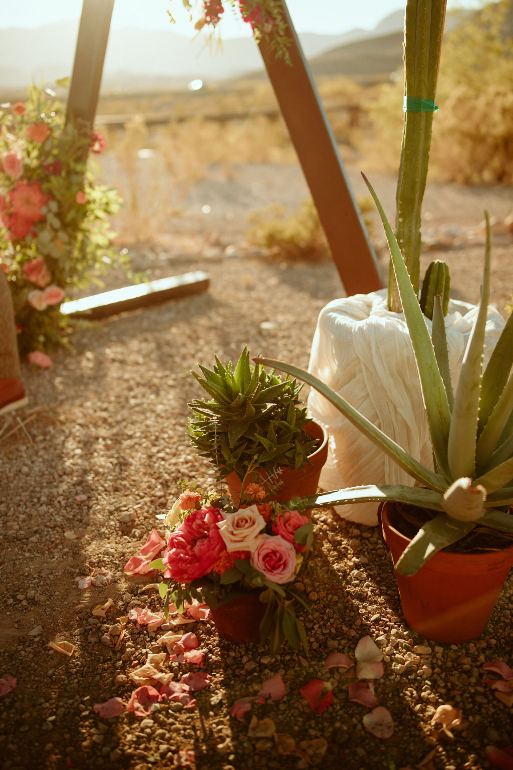 Cactus and Succulent Altar Decor for Bright & Bold Sunset Desert Wedding 