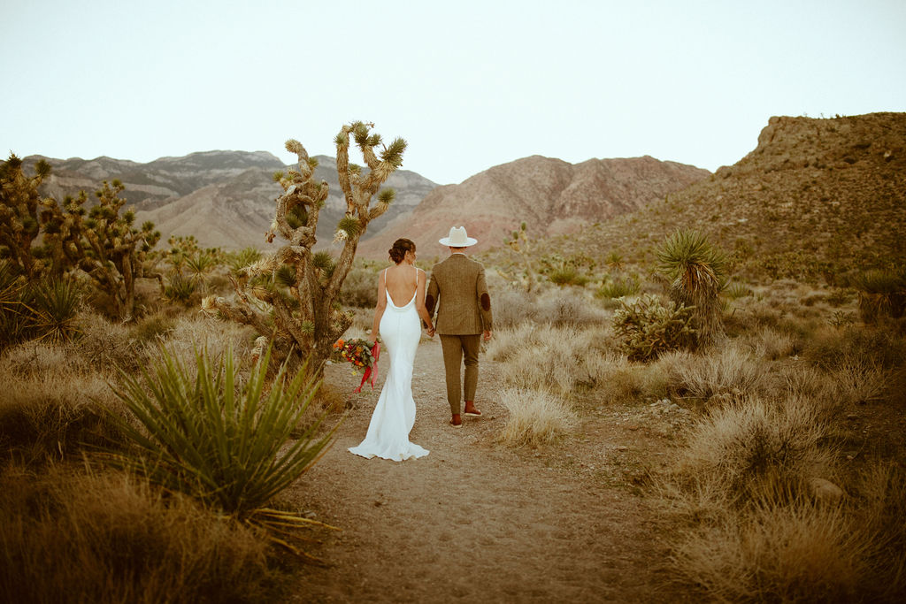 Bride in white backless gown with Groom in brown tweed suit and cream colored hat walking down desert path together with mountains in the background after Cactus Joe's Nursery ceremony 