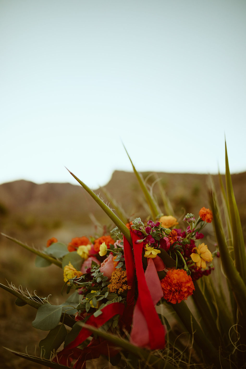 Colorful Bridal Bouquet sitting in desert Cactus 