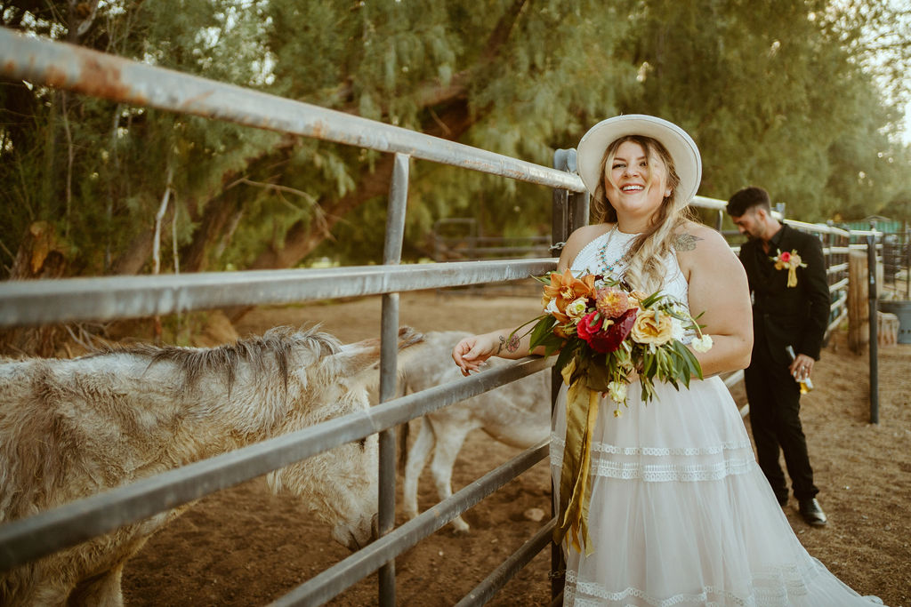 Bride and Groom Petting Rescued Animals at GreenGale Farms after getting Married 