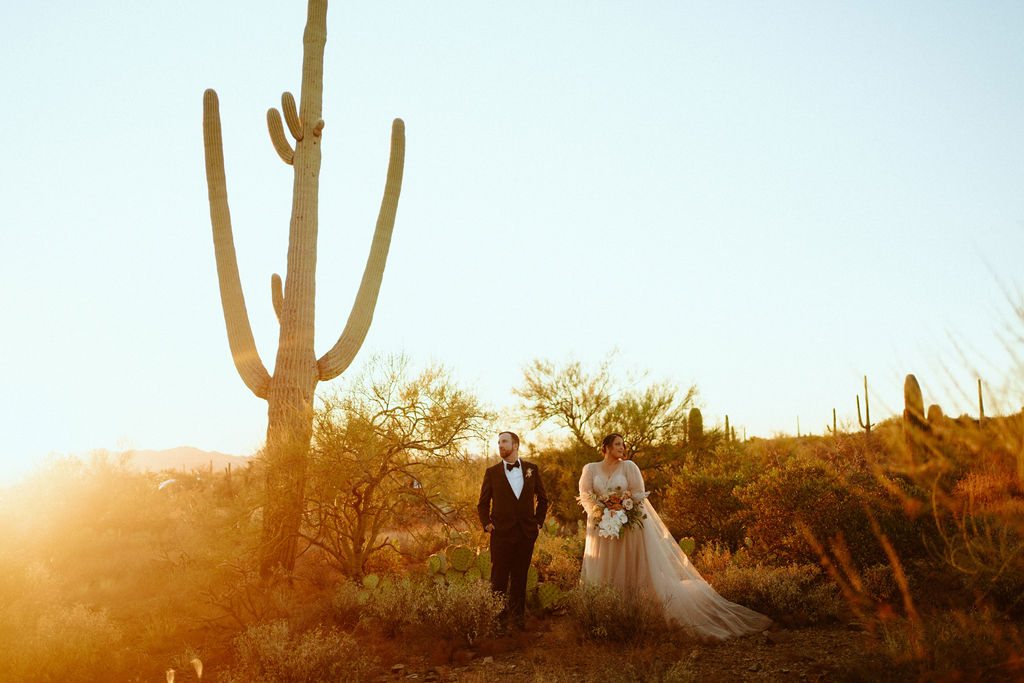 Saguaro National Park Micro-Wedding