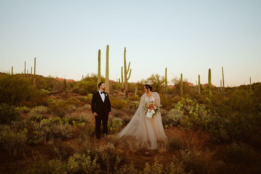 Saguaro National Park Micro-Wedding