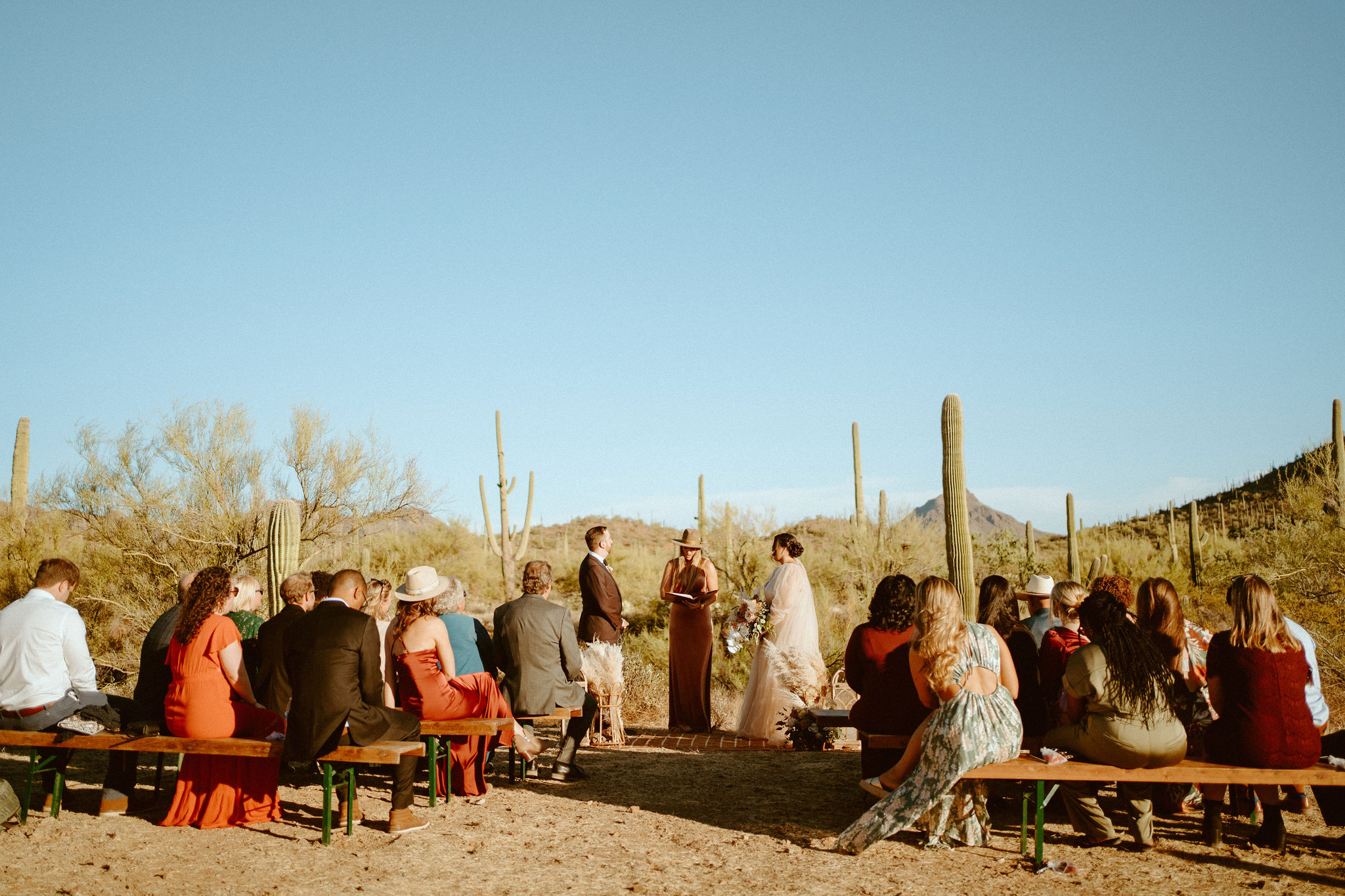 Friends and family gather at saguaro national park to watch the bride and groom get married
