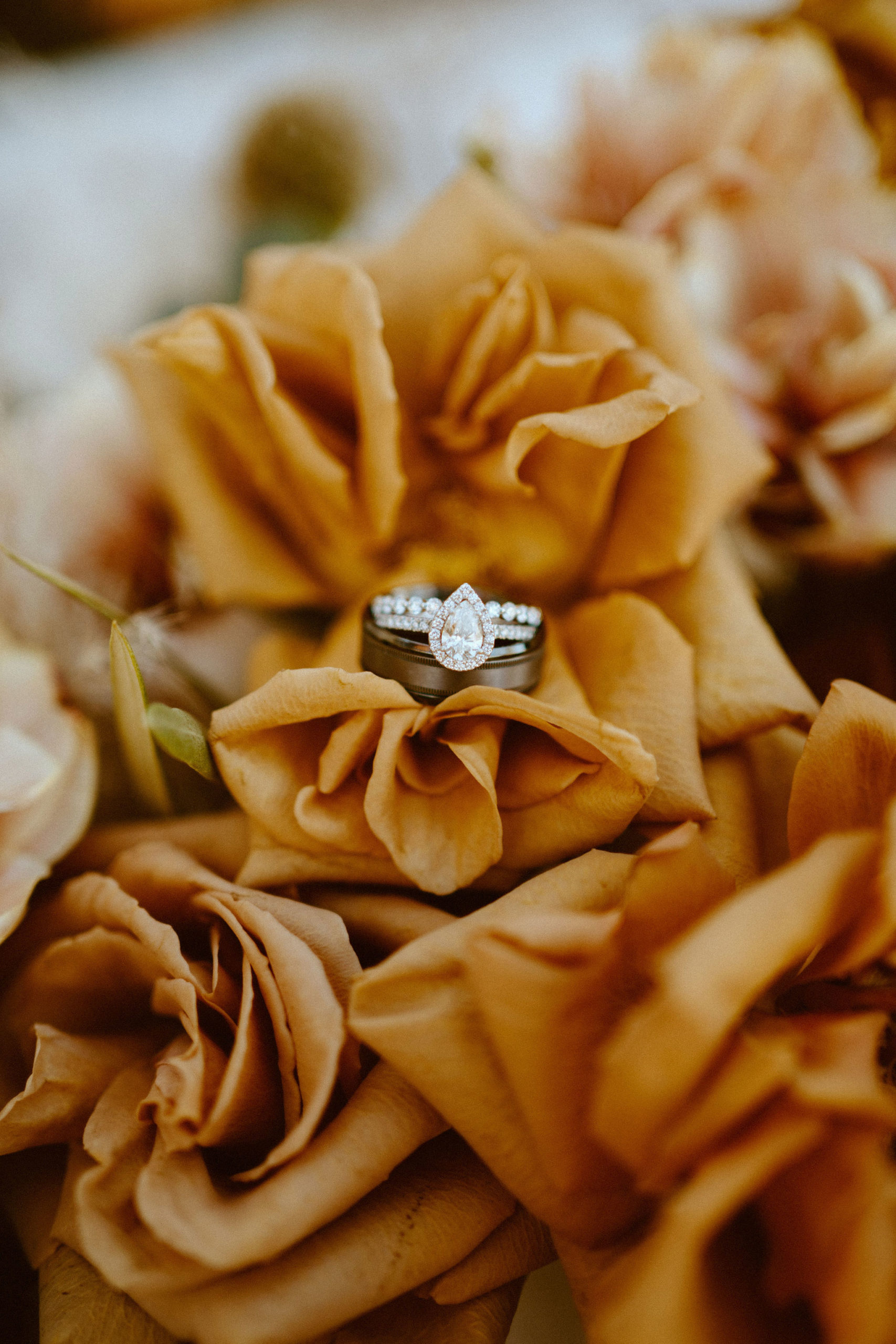 The bride and grooms wedding rings placed on toffee colored roses