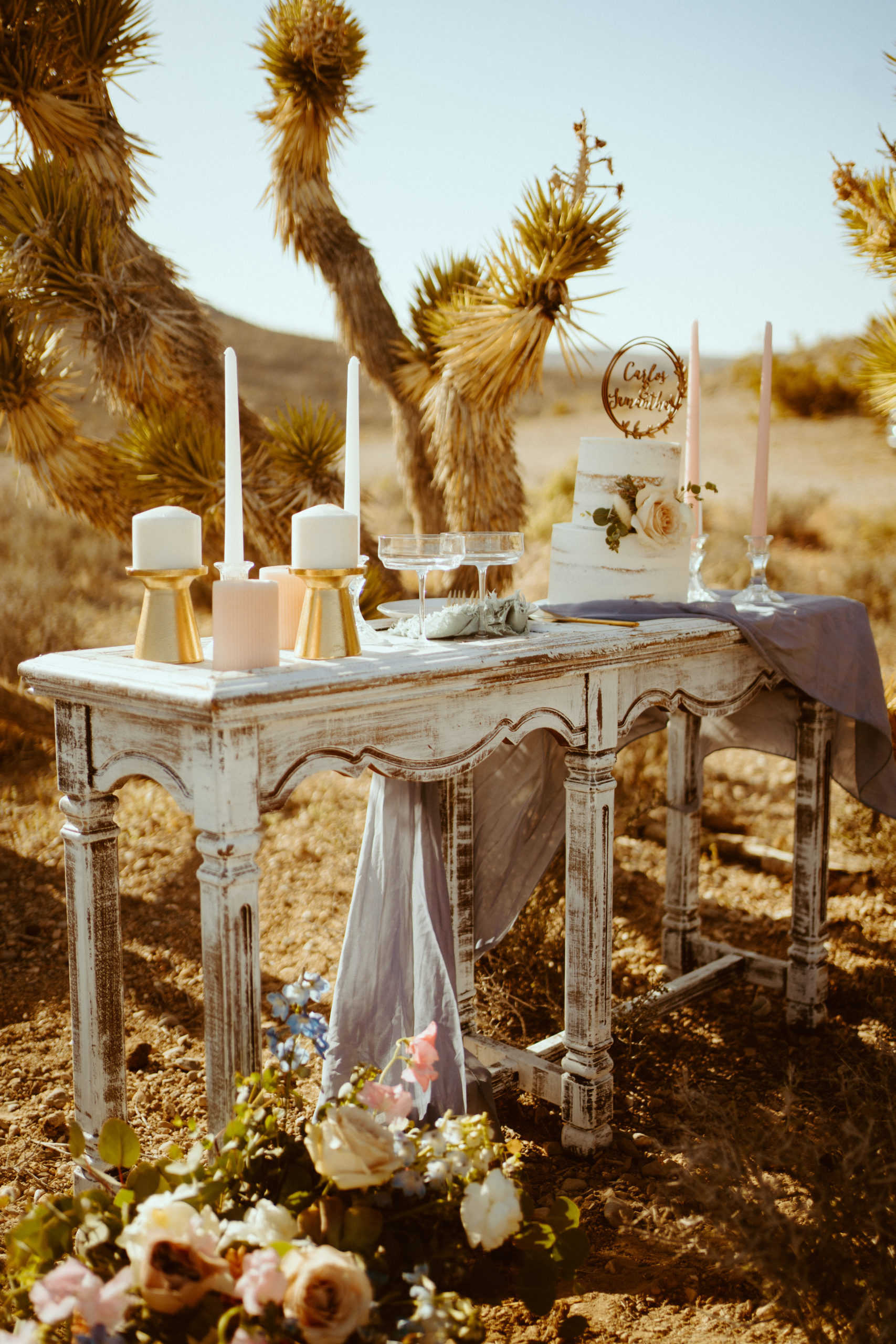 Cake table with Joshua trees surrounding it for our Joshua Trees in Las Vegas? No Way Blog 