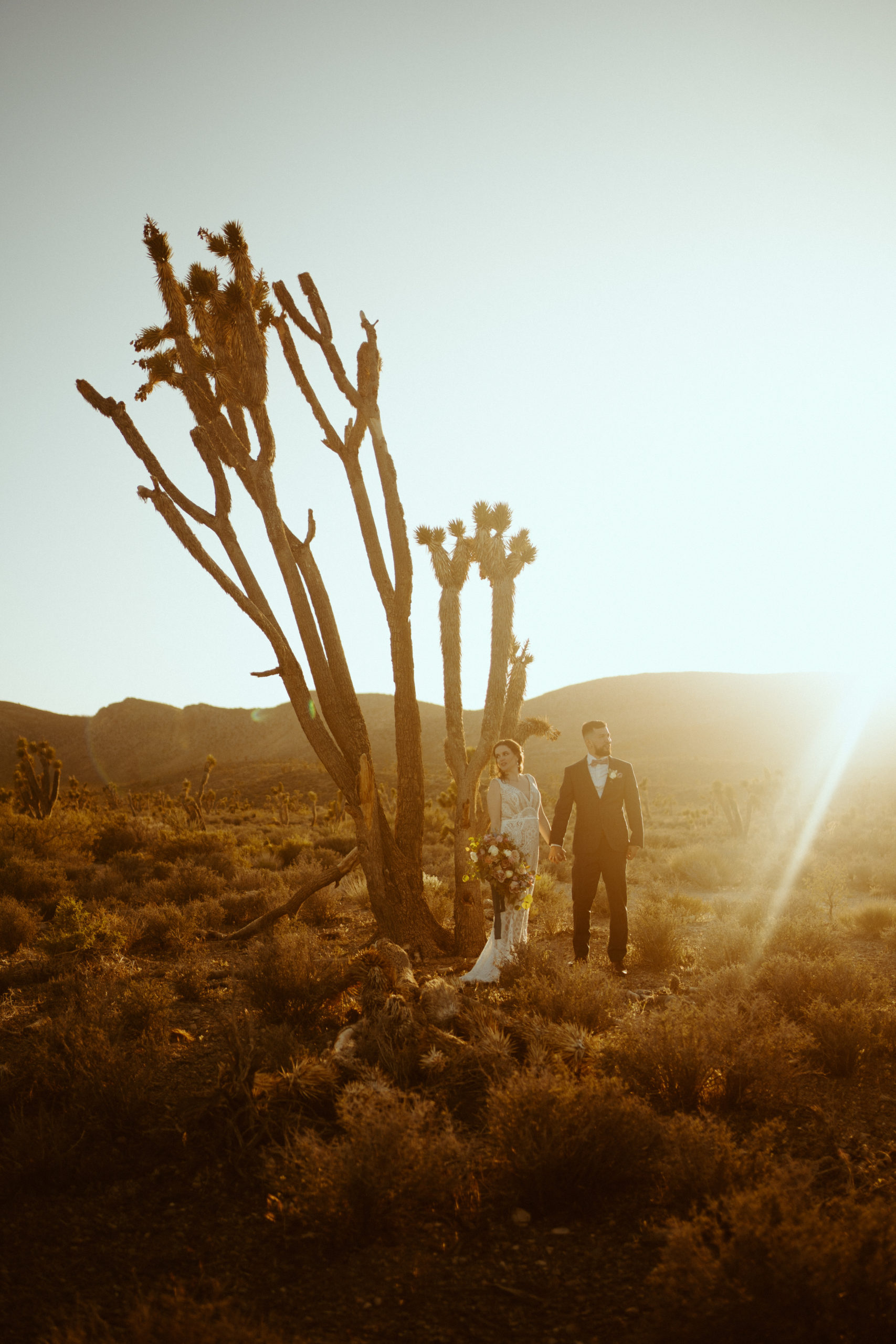 Newlyweds next to large Joshua tree during sunset for our Joshua Trees in Las Vegas? No Way Blog 