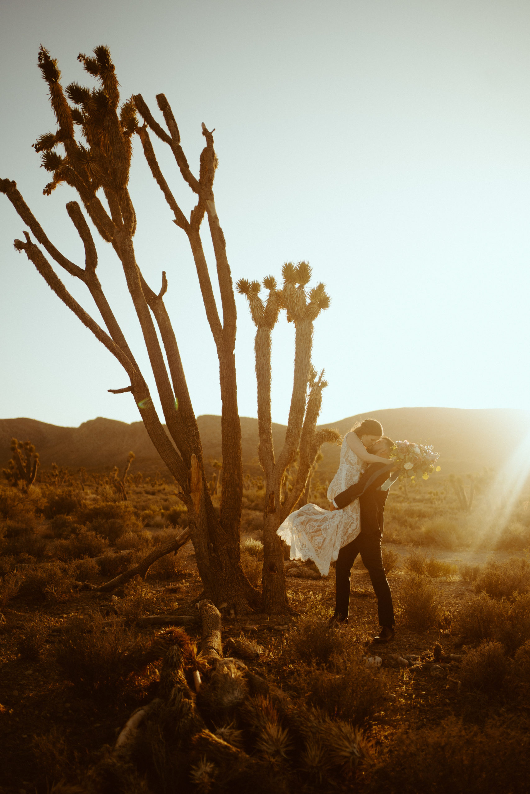 Groom holding bride up next to large Joshua tree during sunset for our Joshua Trees in Las Vegas? No Way Blog 