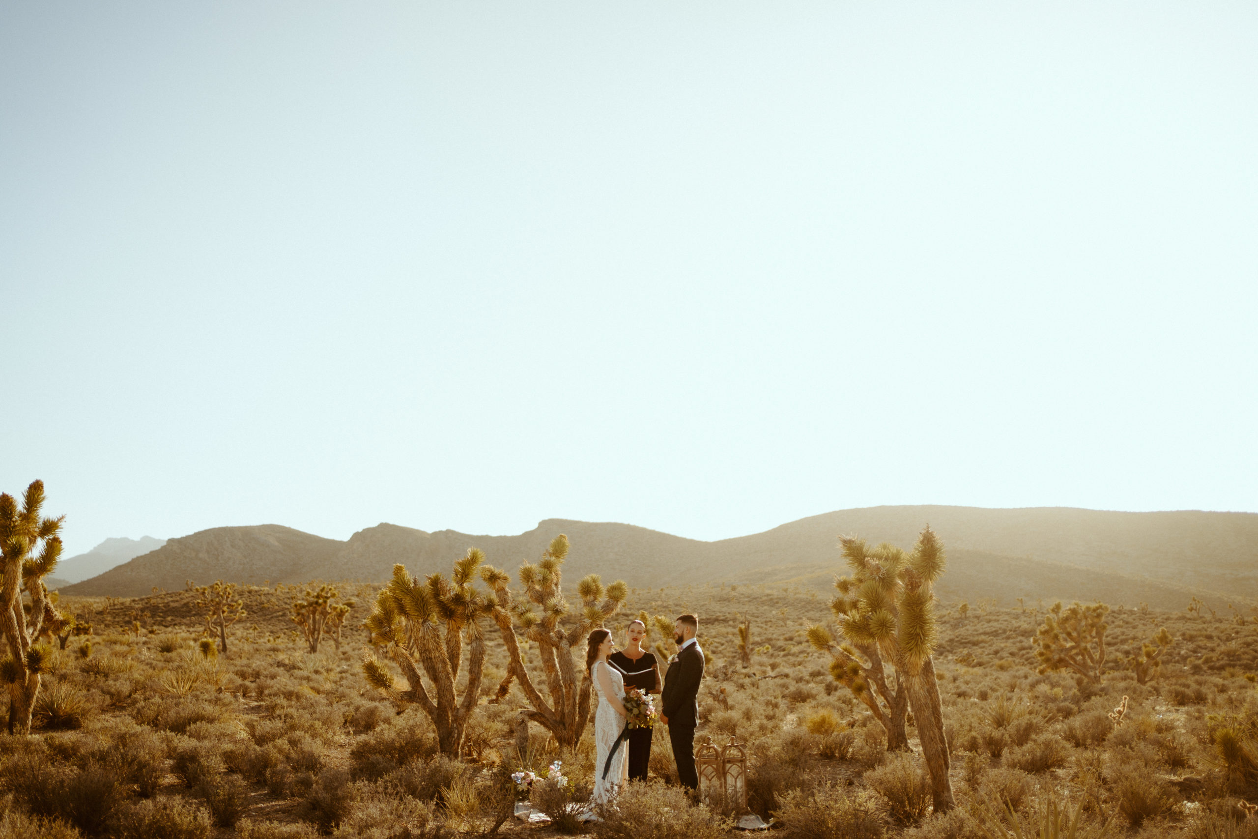 Couple getting married with Joshua trees surrounding them for our Joshua Trees in Las Vegas? No Way Blog 