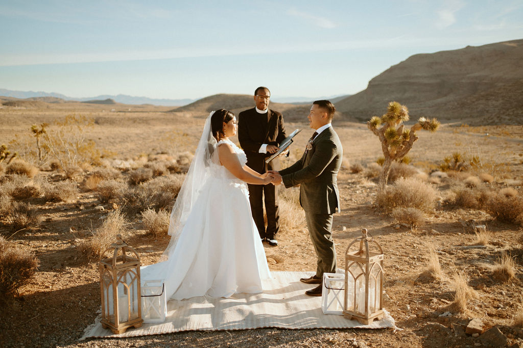 Couple holding hands in desert during Las Vegas Highlights & Desert Elopement