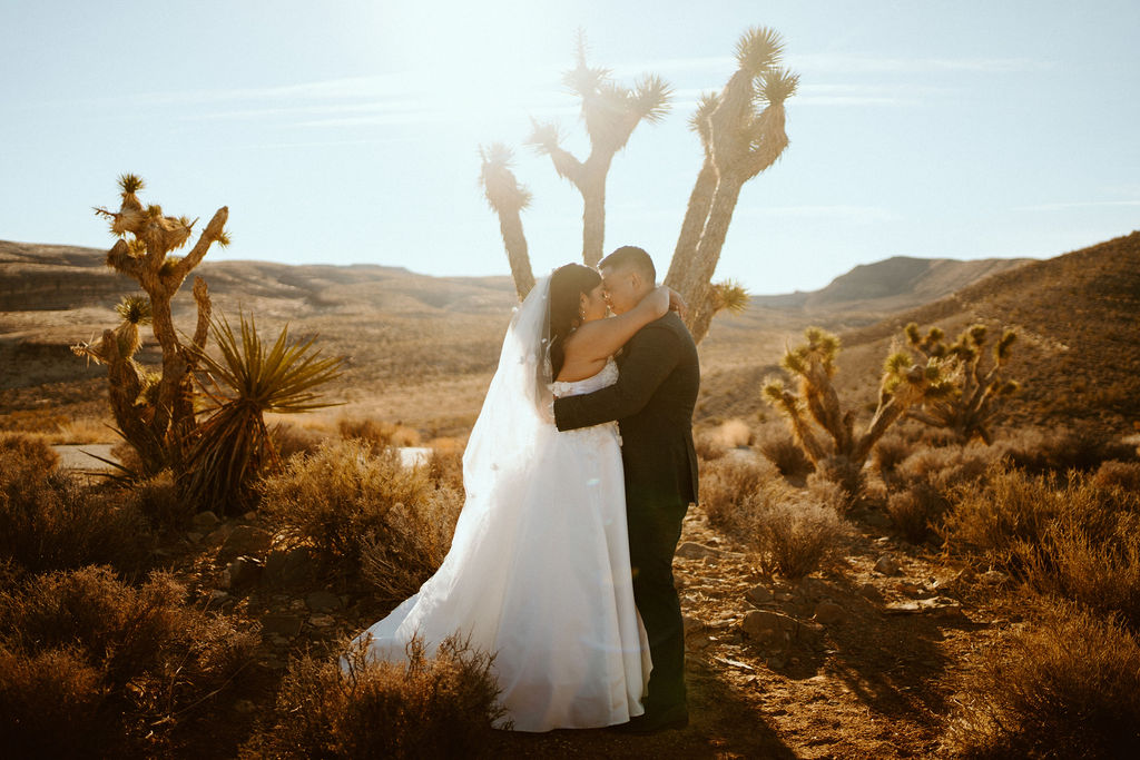 Bride and Grooms first dance in Red Rock Canyon after Eloping 