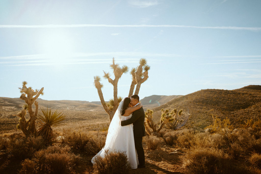 Newlyweds having first dance next to a Joshua Tree in Las Vegas desert during Las Vegas Highlights & Desert Elopement