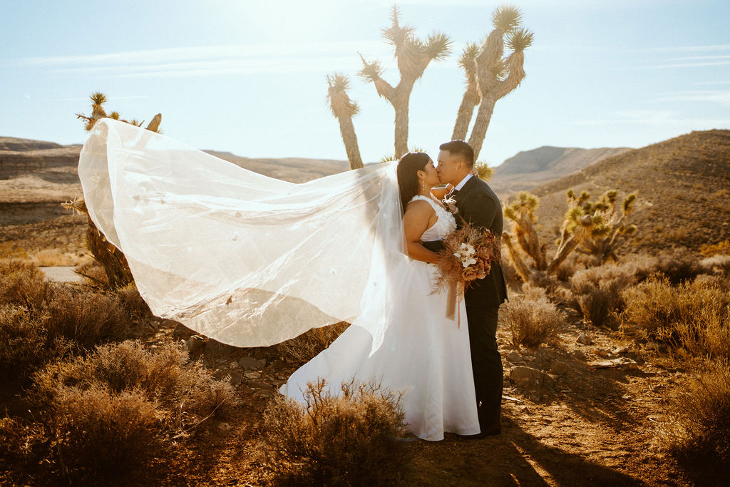 Brides veil blowing in the wind as newlyweds kiss in desert with joshua trees 