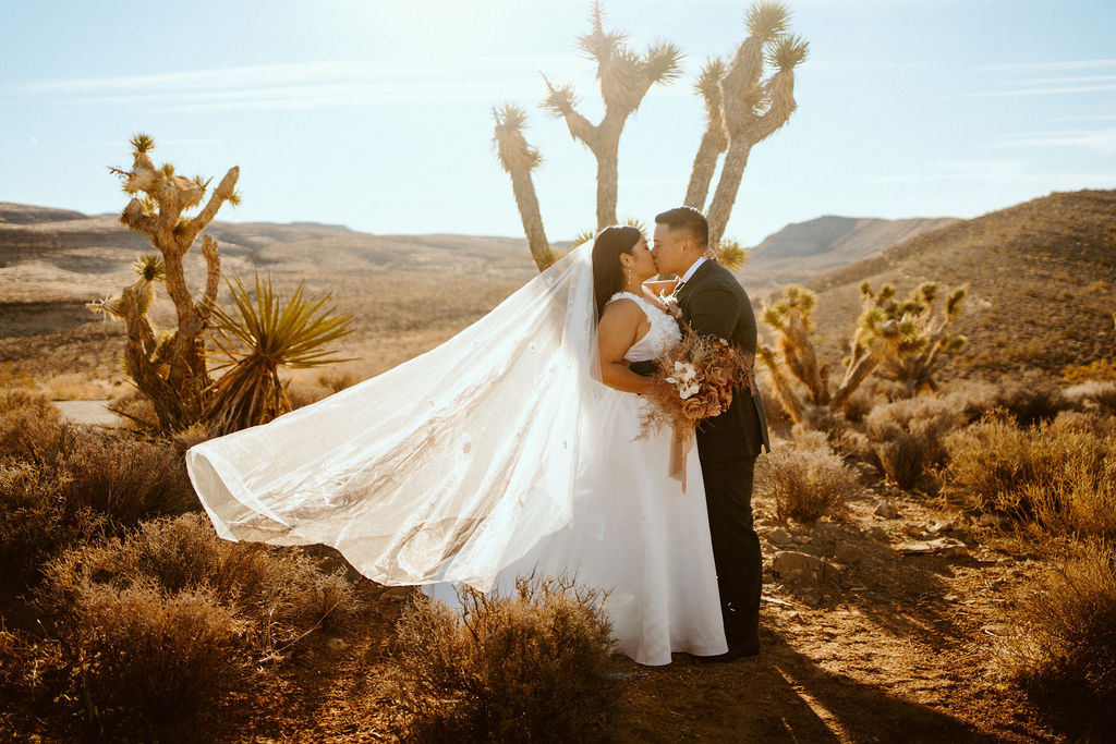 Brides veil blowing in the wind as newlyweds kiss in desert with joshua trees near Las Vegas 