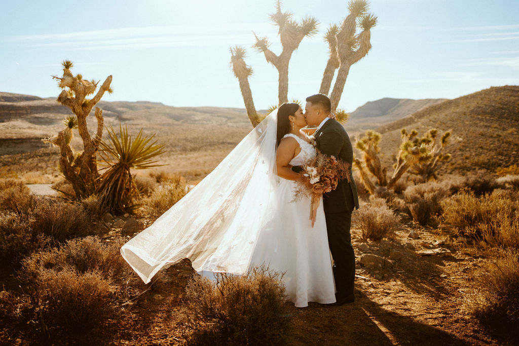Bride and Groom kissing in Red Rock Canyon after getting Married 