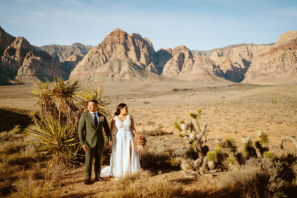 Bride and Groom standing with dramatic Red Rock Canyon Mountains in the Background 