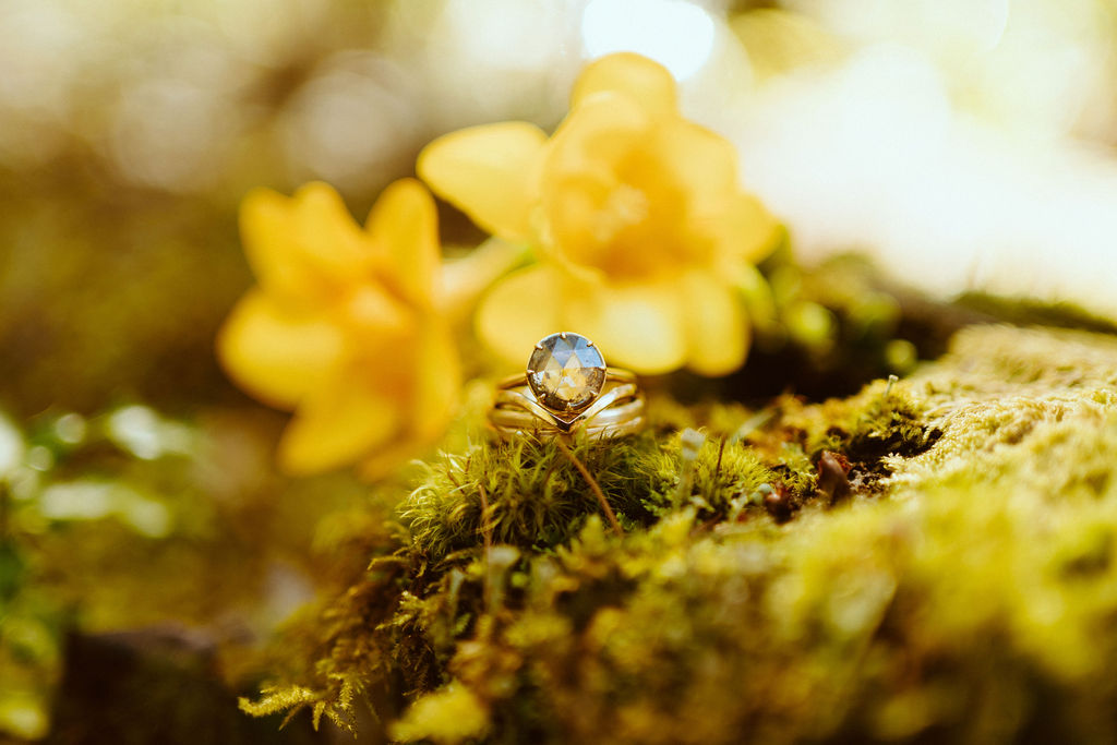 The brides beautiful round shaped ring in the green moss covered rocks,