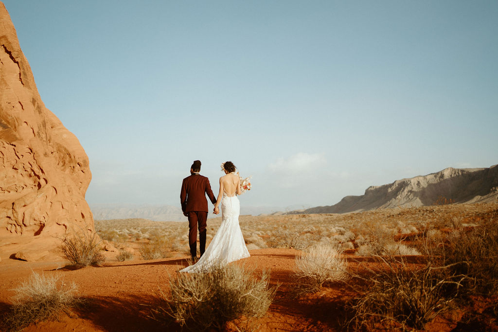Bride and Groom looking out over the Valley of Fire.