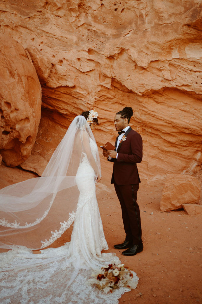 Romantic Mauve & Desert Hues Elopement brides veils flows in the wind as groom reads his vows. 