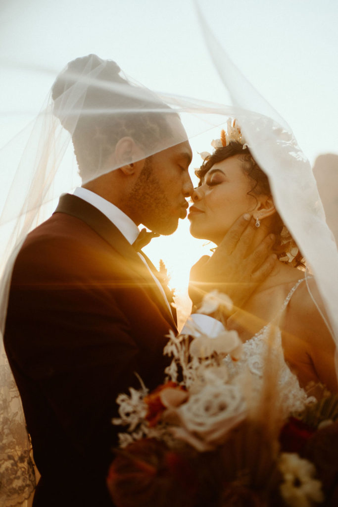 Romantic Mauve & Desert Hues Elopement Brides veil covers her and the groom in the perfect sillouette with sunset. 