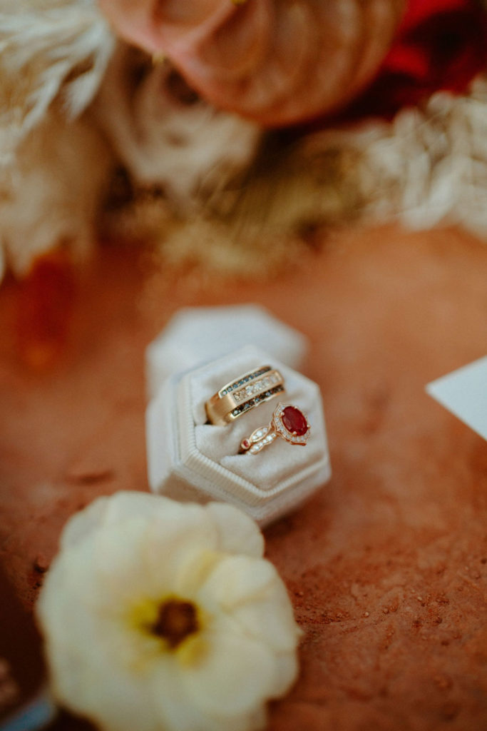 Close up of the bride and grooms rings. His ring gold and diamond decorated. Her ring with a bright red ruby surrounded by diamonds. 