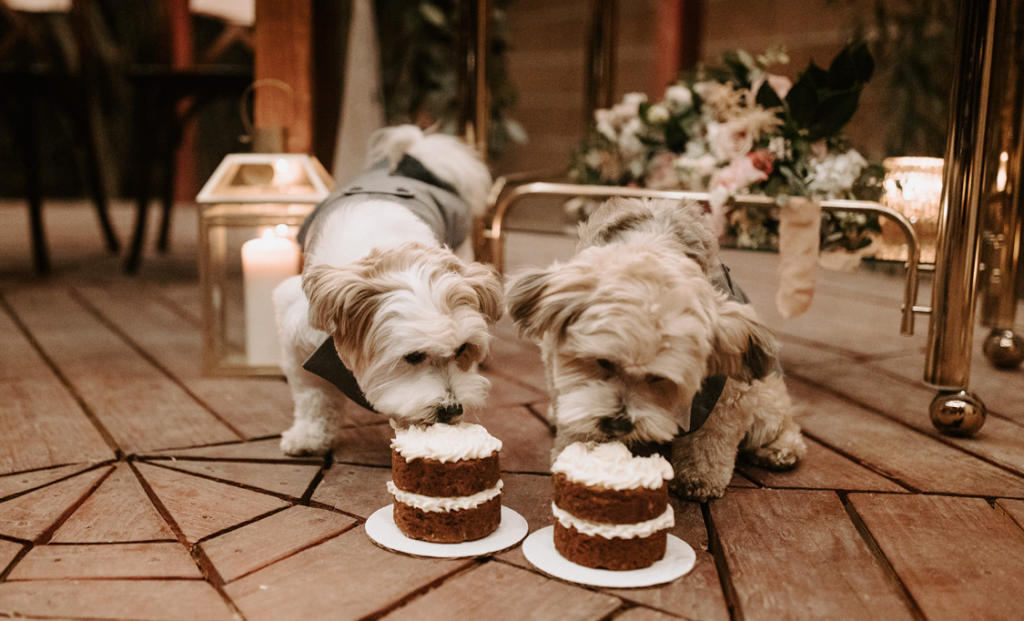 How To Include Your Dog on Your Wedding Day! Personal dog wedding cakes for the newlyweds dogs. 