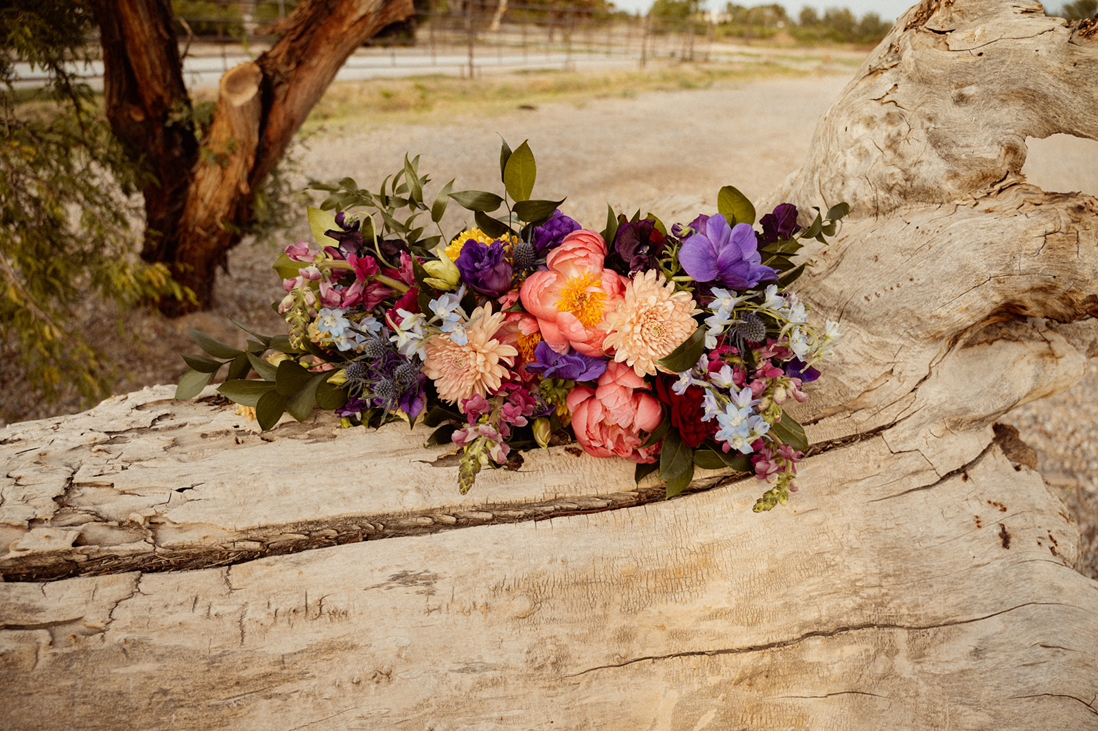 Bold Jewel Toned & Iconic Wedding Bouquet sitting on drift wood 