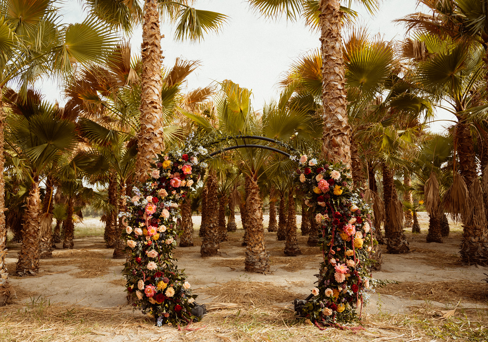 Bold Jewel Toned & Iconic Wedding Circle Arch under Palm Trees 