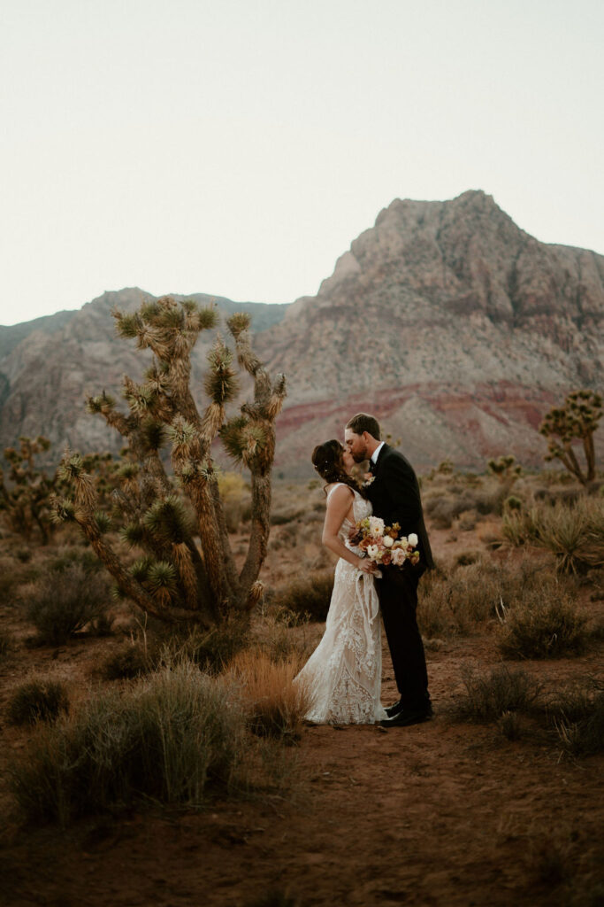 Bride and groom kissing in the Nevada desert. 