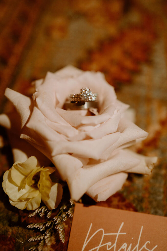 Bride and grooms ring inside of a soft pink rose. 