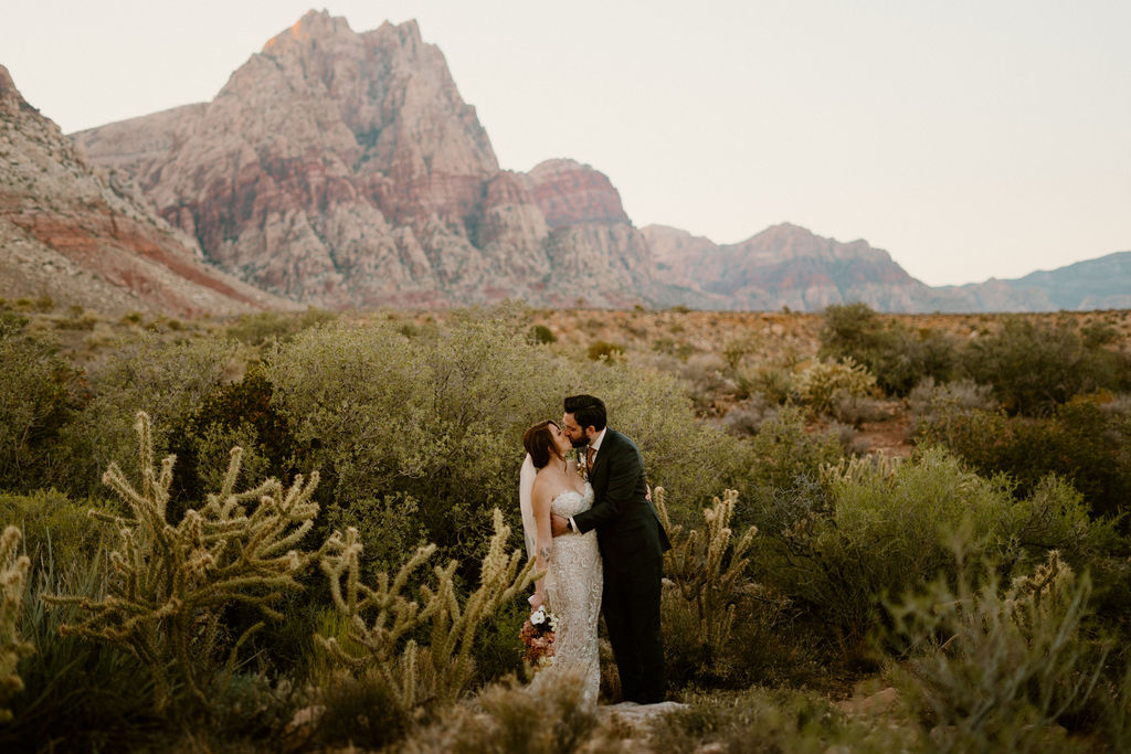 Long shot of Red Rock Canyon desert and greenery with bride and groom kissing. 