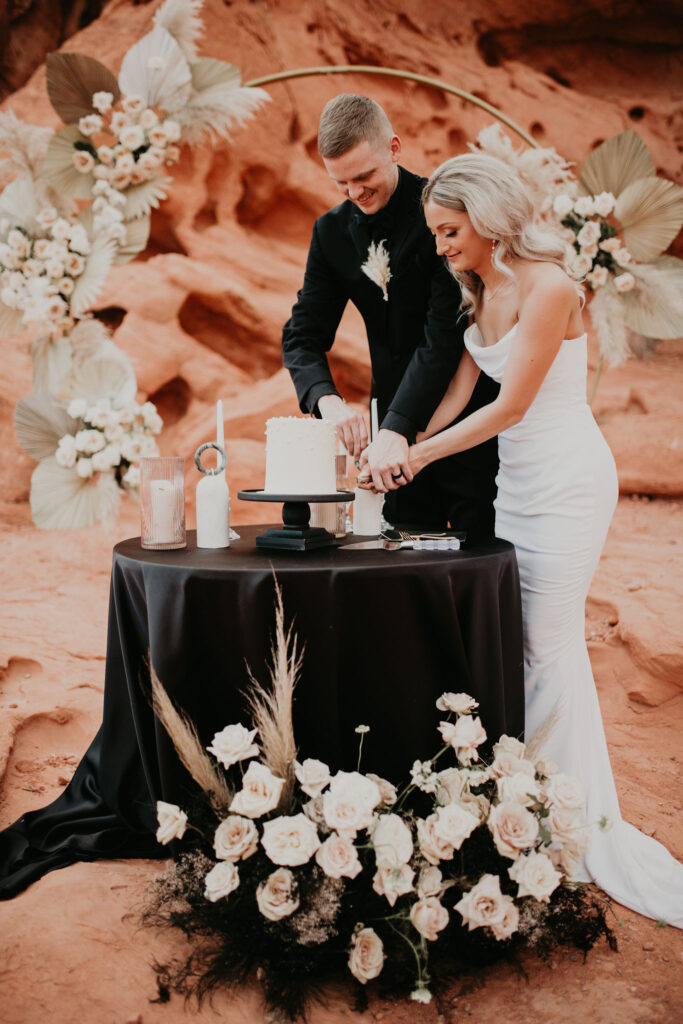 Bride and groom cut into a single tier wedding cake at their elopement. Their dark and moody decor has bright whites and tans mixed into the drastic black. It is chic and elegant. 