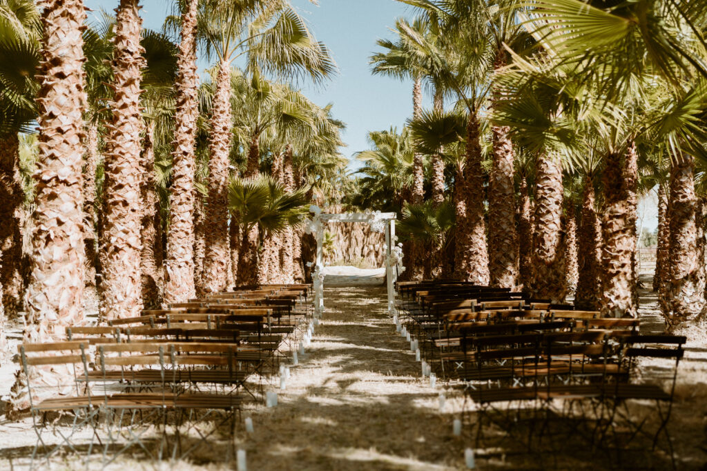 Aisle: Circle Or Runway? Minimalistic runway surrounded by palm trees. White non-lit candles along each side of the aisle. 