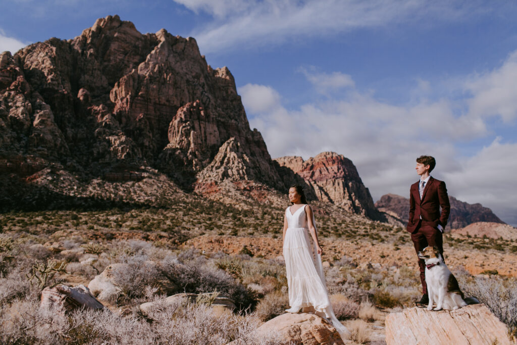 Love Unleashed: Colorful Las Vegas Elopement. A bride and groom stand on two separate boulders in front of a giant red rock mountain. The bride wears a V-neck silk top with a long shoulder cape and tulle flowy skirt. The groom wears a deep maroon suit with purple paisley tie. His dog sits next to him on the boulder. 