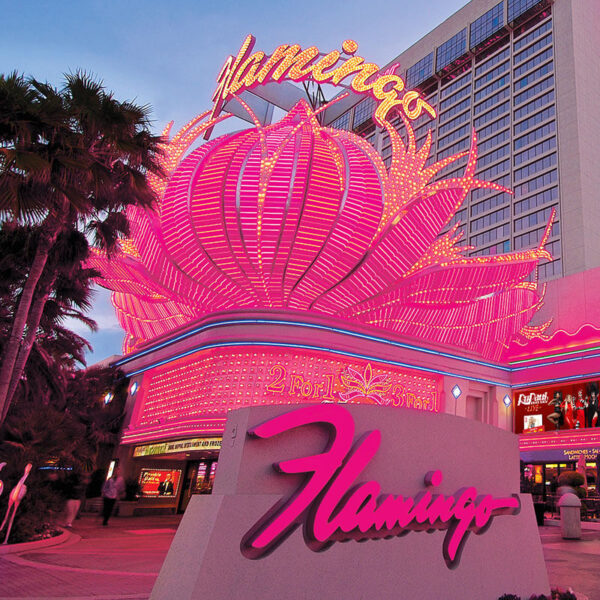 5 Trendiest Bach Party Themes Flamingo  Hotel Hotel sign and neon sign. 