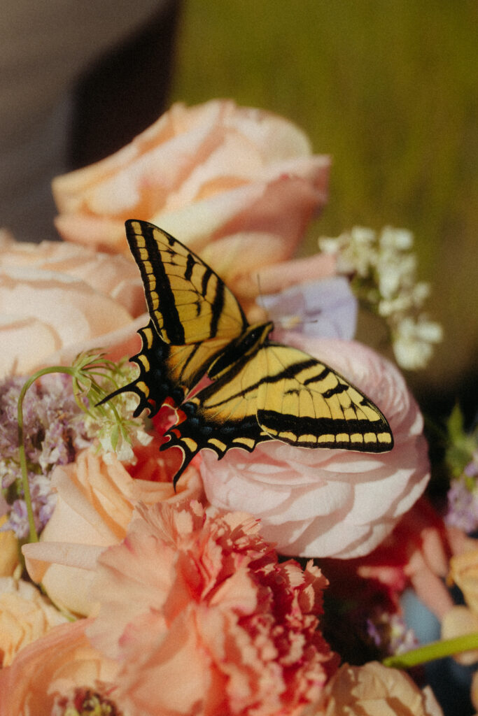 The Ultimate Garden Party Wedding: Your Dream Day Blossoms Here! Yellow monarch butterfly lands on brides bouquet at Glacier National Park 