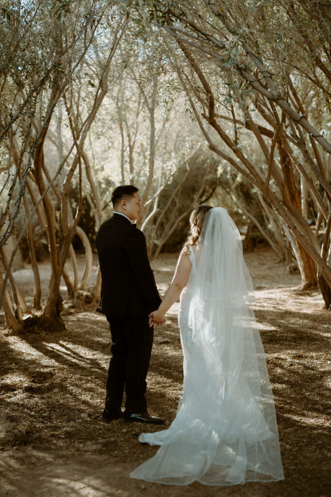 bride and groom walking through olive grove 