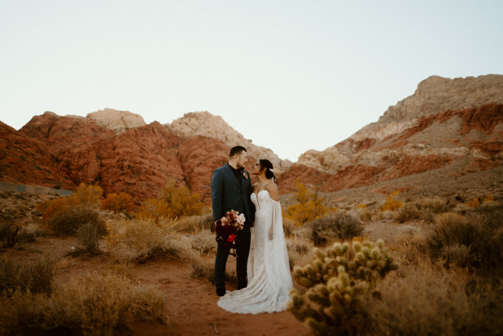 Newlyweds at Red Rock Canyon 
