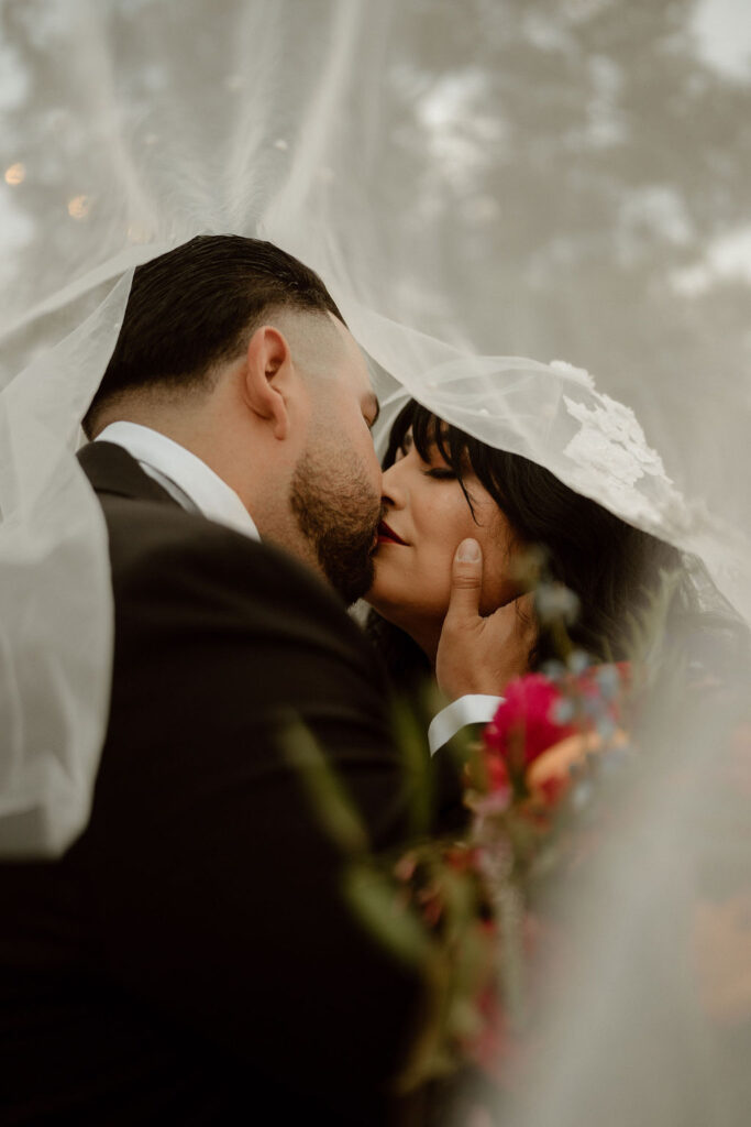 Brid and groom under bride's veil 
