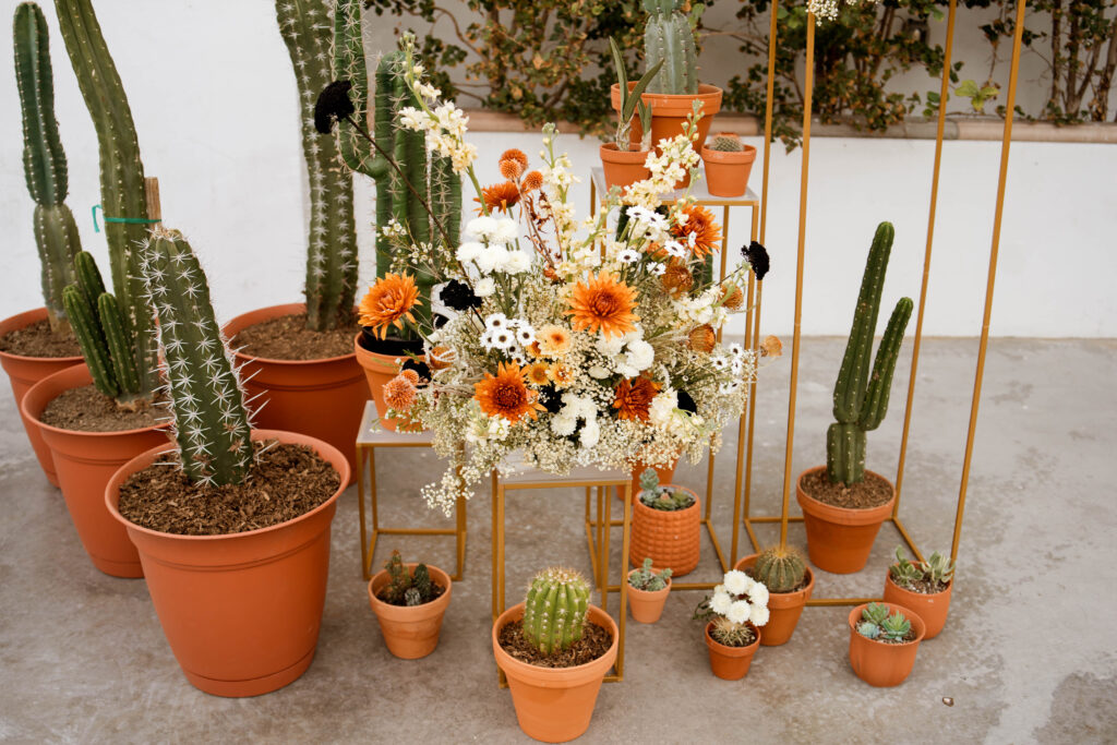 Spice Up Your 'I Do': Rust Orange Wedding Guide Cactus Arch
