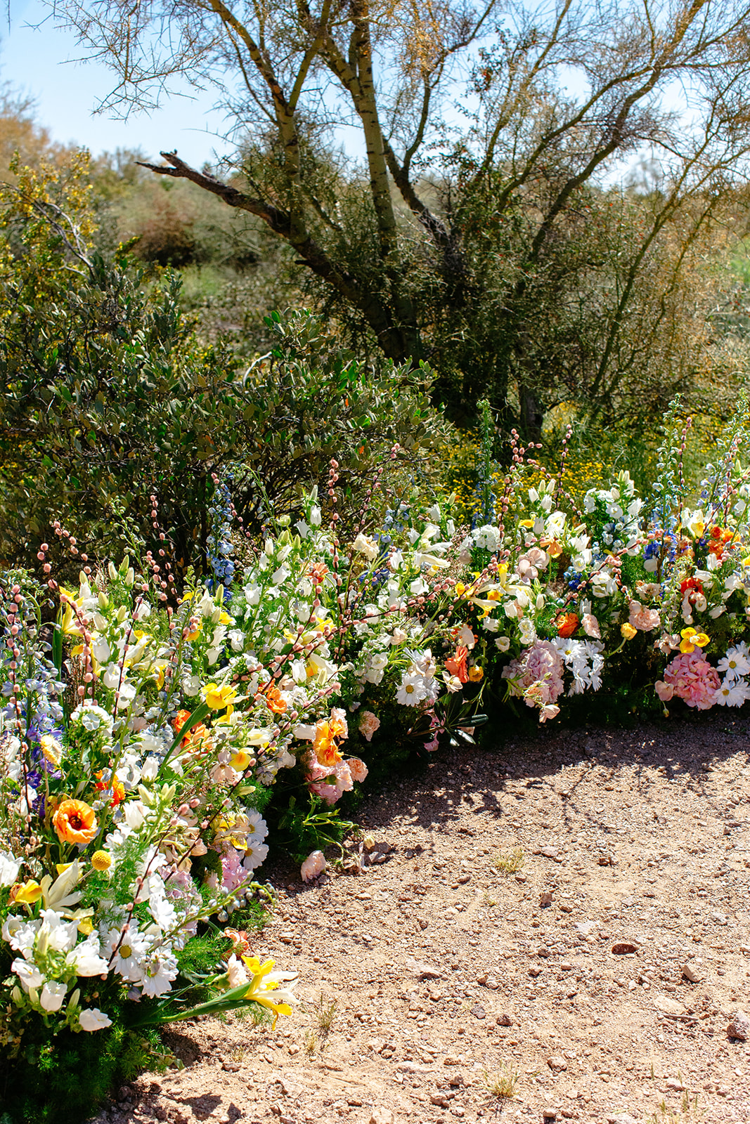 Vibrant flower bed filled with assorted flowers in full bloom, situated in a sunny outdoor setting with green shrubbery in the background.