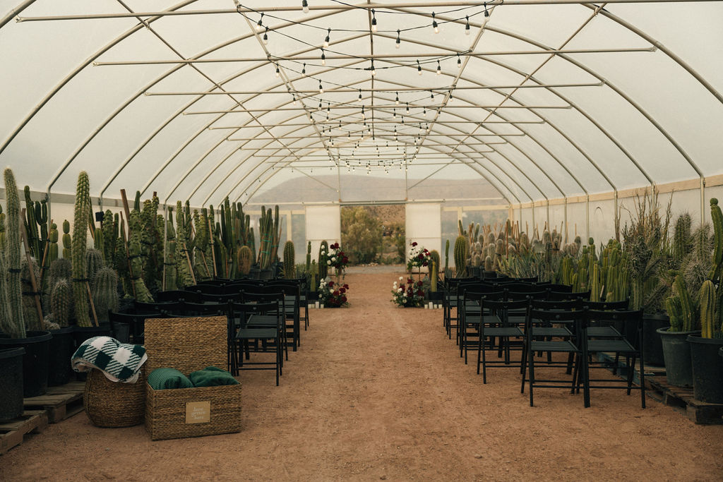 A greenhouse with various cacti in pots, accompanied by a floral arrangement of red and white flowers, and several candles placed on the grou