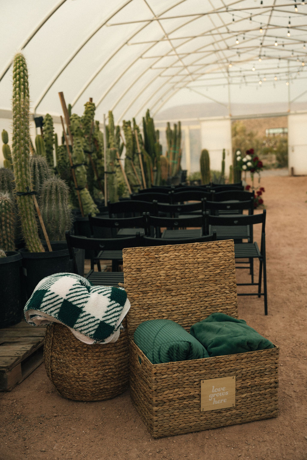 A greenhouse with rows of cacti on the left, black chairs arranged in the center, and woven baskets with green and white blankets in the foreground at Cactus Joe's 