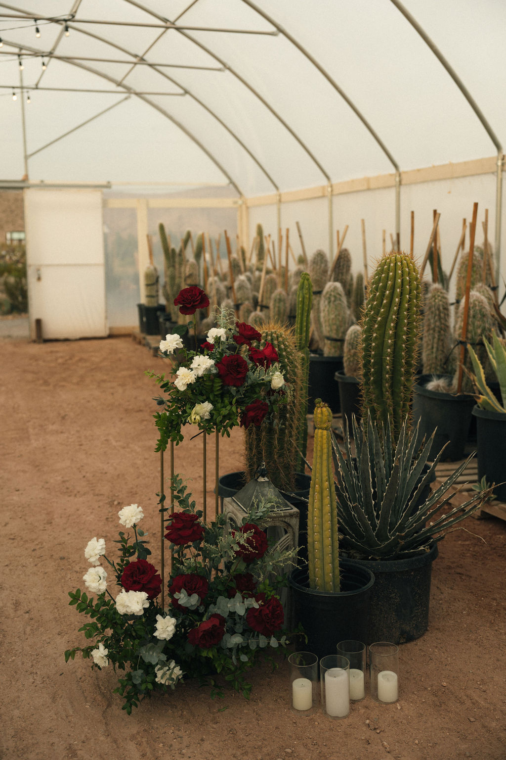 A greenhouse with various cacti in pots, accompanied by a floral arrangement of red and white flowers, and several candles placed on the ground at Cactus Joe's