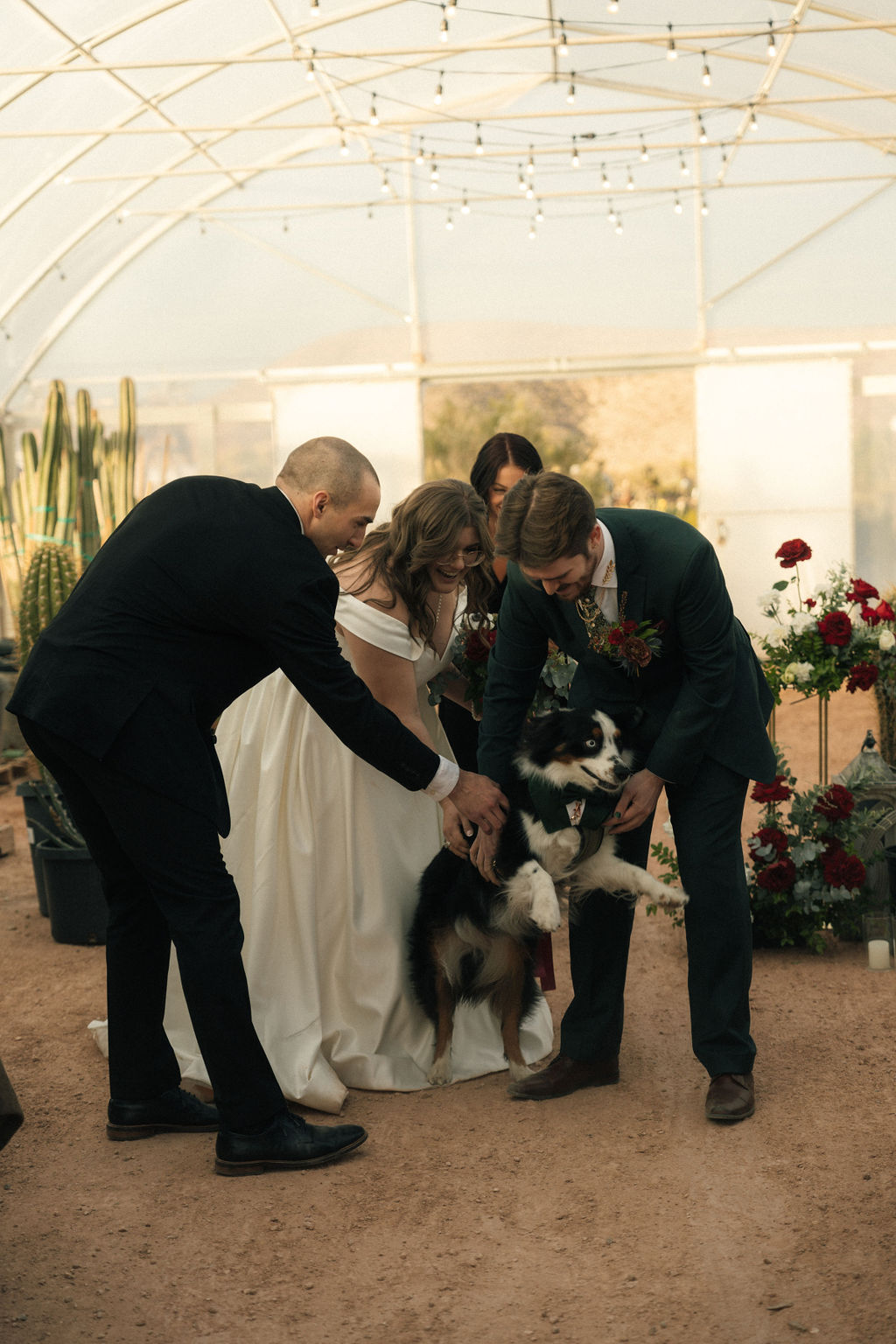 Dog walking down the aisle at Cactus Joe's Nursery