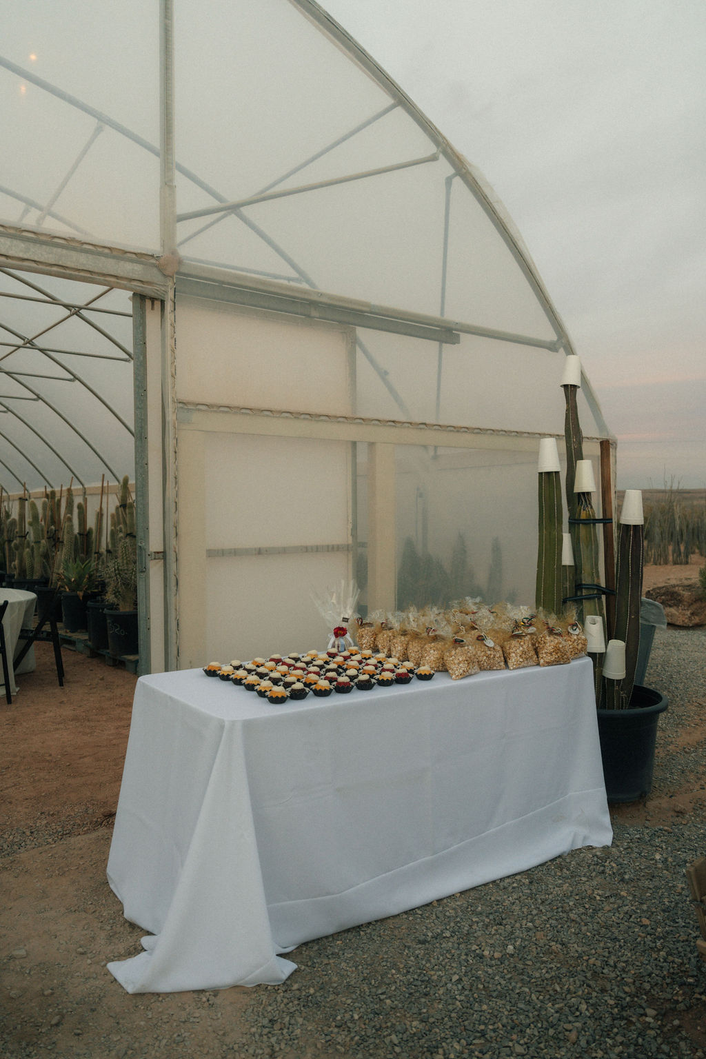 Desert table at a wedding at Cactus Joe's Nursery filled with cupcakes